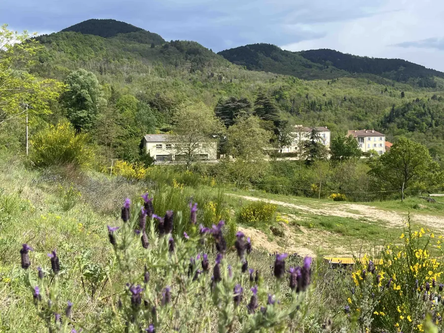 Vue sur le Domaine Le Noell au milieu des collines, avec de la lavande au premier plan