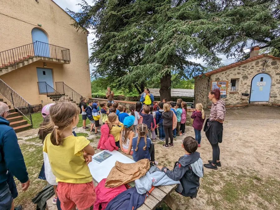 Alumnos que participan en un juego al aire libre en el patio de la finca, bajo los grandes árboles