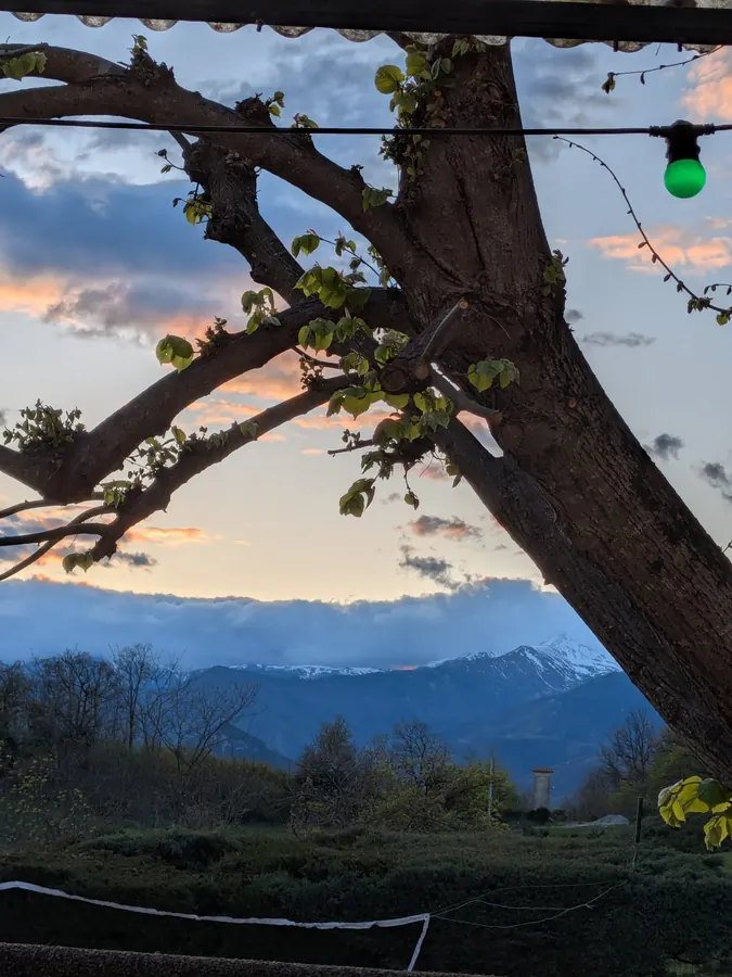 Coucher de soleil sur les montagnes enneigées, vu à travers les branches d’un arbre de la terrasse
