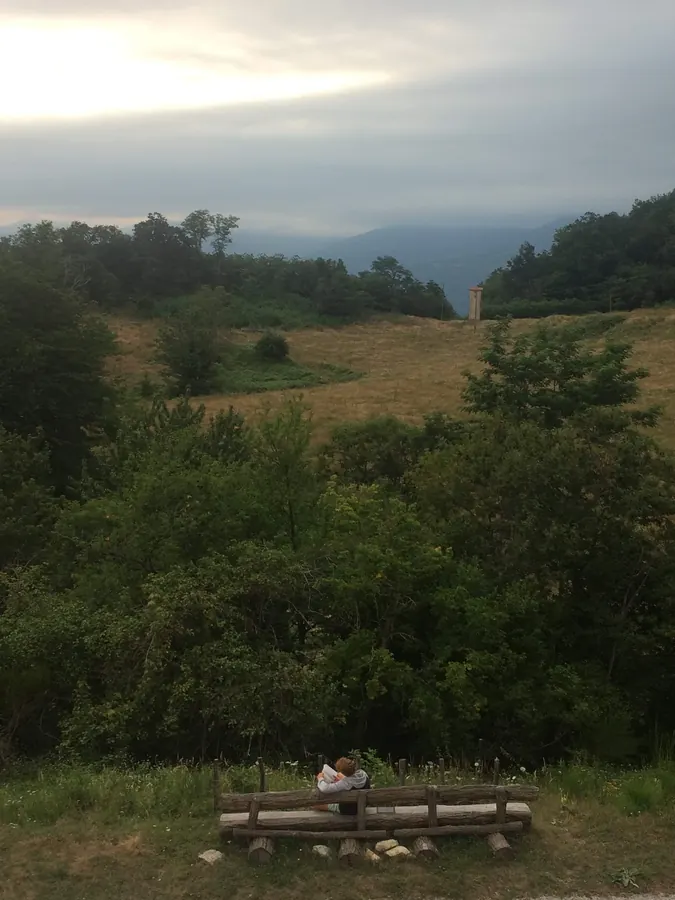 Un jeune assis sur un banc en rondins qui lit face à la prairie, aux forêts et aux montagnes