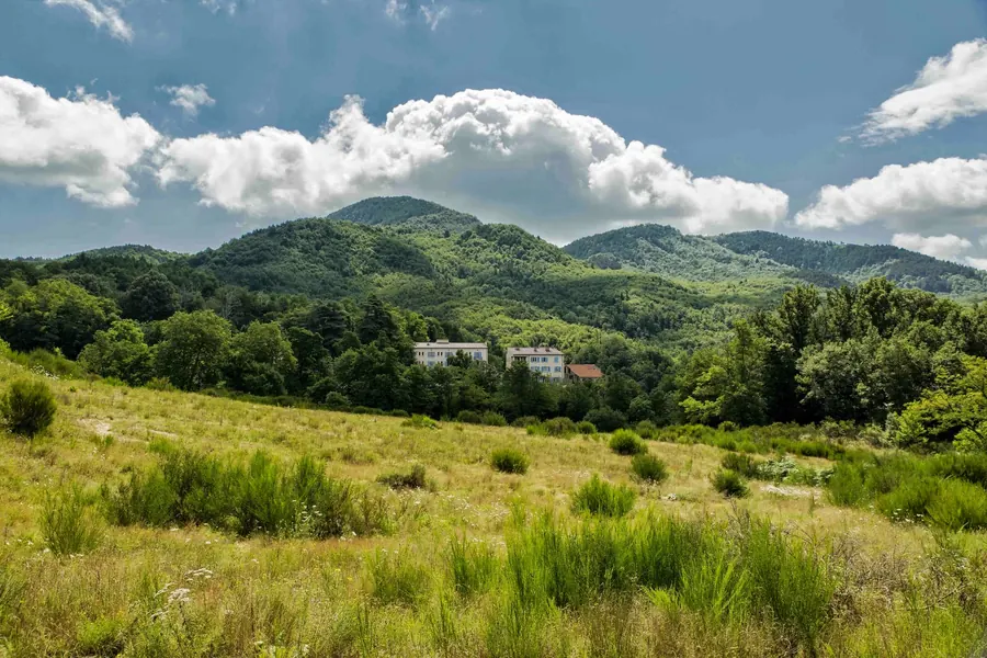 Les bâtiments du Noell au milieu des bois, au pied des collines, vus depuis une prairie fleurie