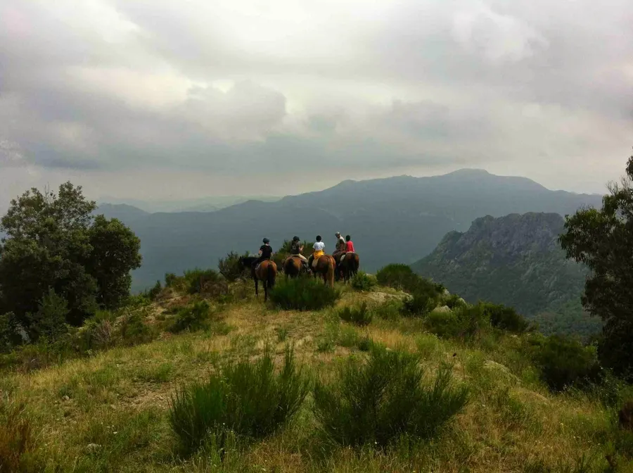 Eine Gruppe Reiter auf einem Hügel, mit den Bergen im Dunst
