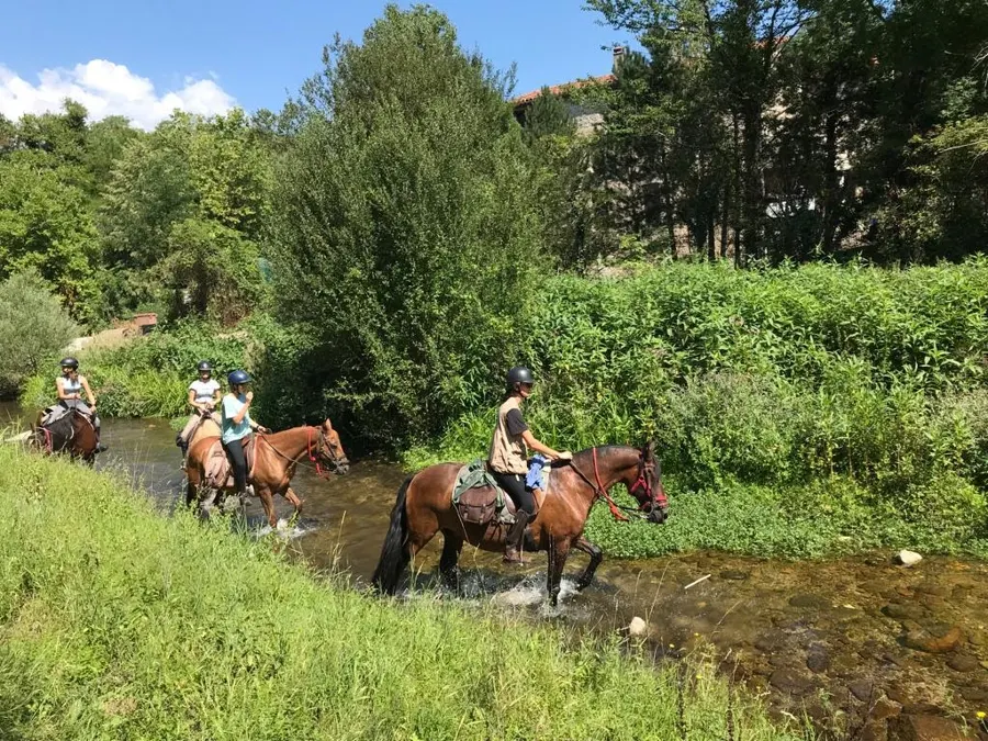 Reiter überqueren zu Pferd einen Fluss, umgeben von Grün